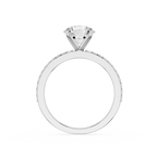 A white gold or platinum solitaire engagement ring featuring a round brilliant-cut diamond center stone, with a pavé-set diamond halo and a shank accented with small diamonds, shown on a plain white background.