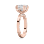 Demo Product Title