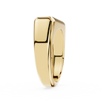 Gold ring on a white background